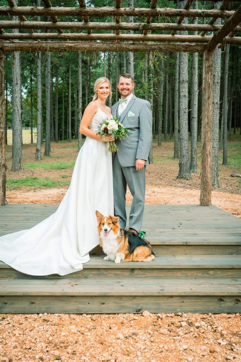 117 wedding pictures tennessee wedding venues