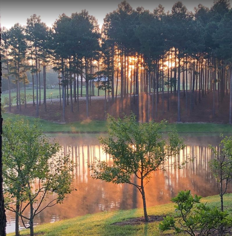 3 sandy creek farms cabins nashville tn