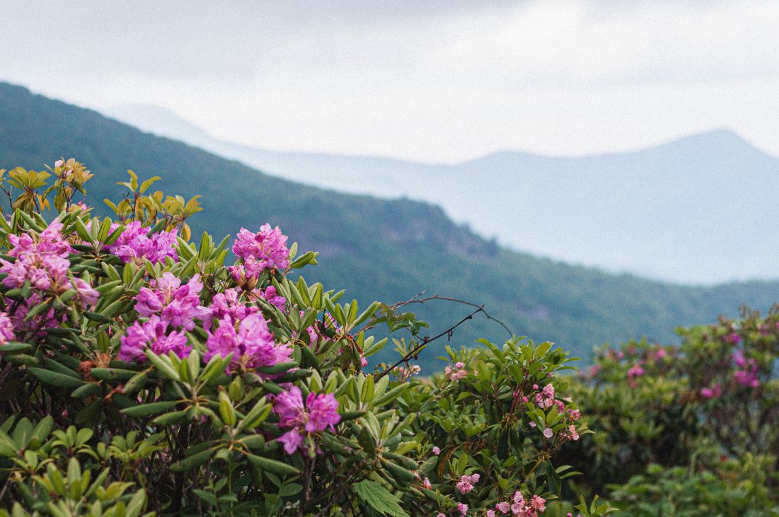 blue ridge mountains